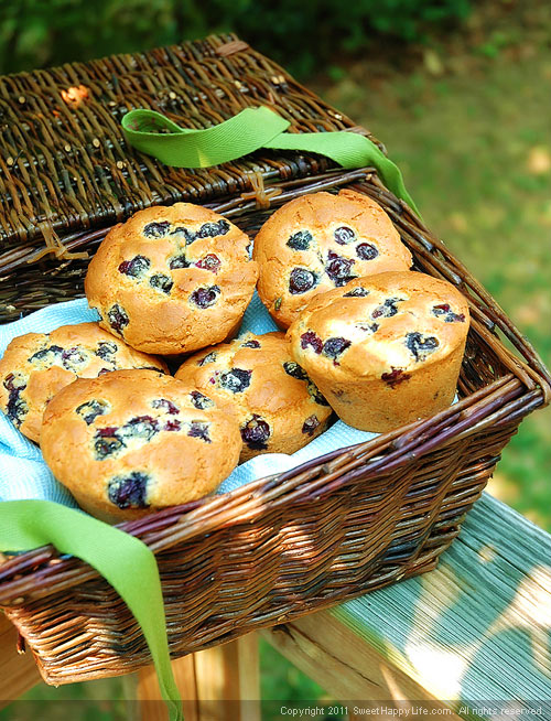 Alton Brown's Blueberry Muffins - Easy Family Recipes