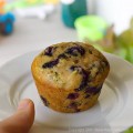 Whole Wheat Blueberry Zucchini Muffins - Easy Family Recipes