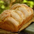 Autumn Apple Bread - Easy Family Recipes Autumn Apple Bread - Easy Family Recipes