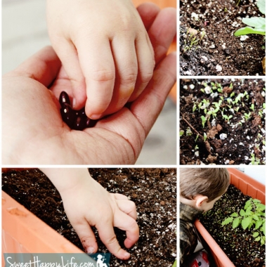 Toddler Snacking Garden