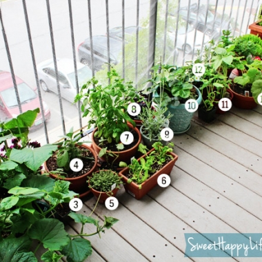 Our Snacking Garden