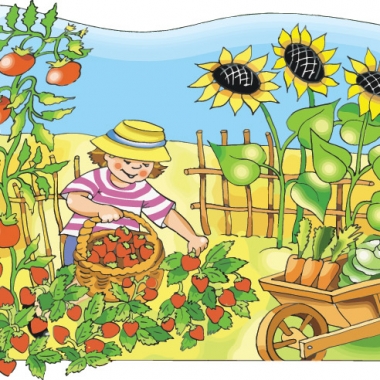 Farmer Joe Lyrics and Song | Owen Duggan