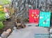 DIY Garden Gnome Doors